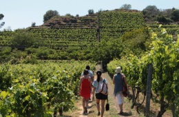 TAORMINA & ETNA WINE